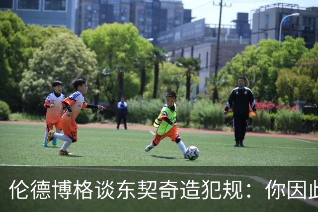 伦德博格谈东契奇造犯规：你因此觉得自己NB也太软了