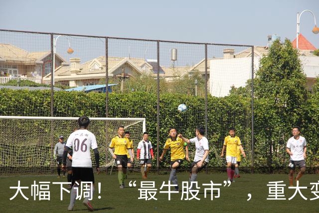 大幅下调！“最牛股市”，重大变数！