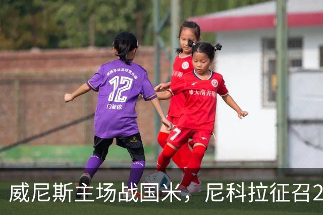 威尼斯主场战国米，尼科拉征召29名球员