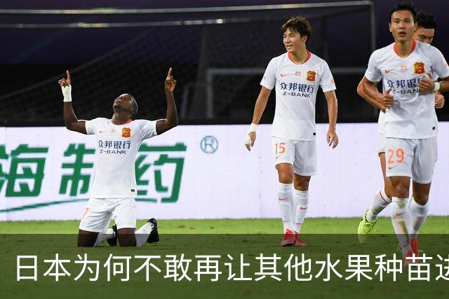 日本为何不敢再让其他水果种苗进入中国？别以为只是贸易摩擦。日本不愿放水果进中国，是因为被“偷家”偷怕了