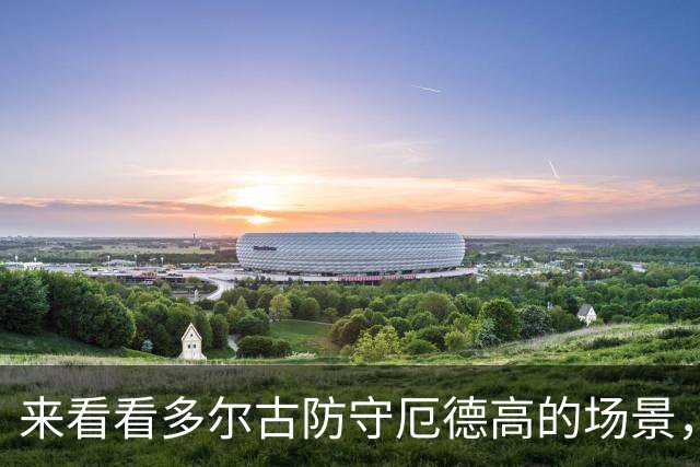 来看看多尔古防守厄德高的场景，你们如何评价？