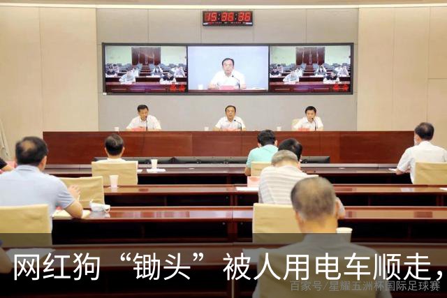 网红狗“锄头”被人用电车顺走，并以180元转卖遭宰杀，最新进展：“锄头”主人已收到30万元和解费，计划将全部捐给宠物救助机构
