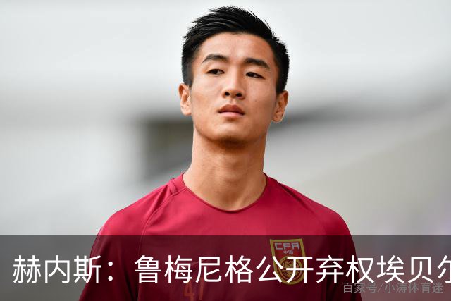 赫内斯：鲁梅尼格公开弃权埃贝尔投票没必要