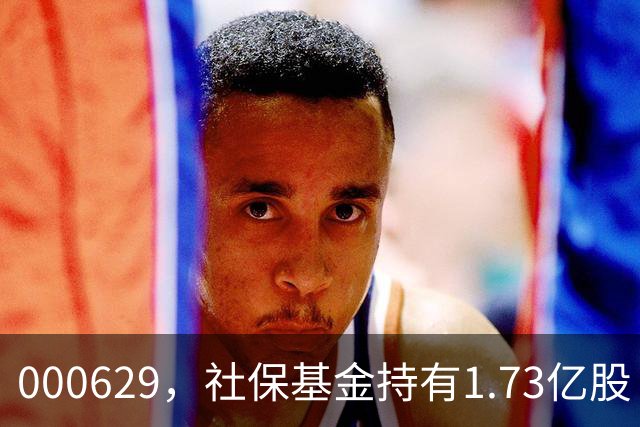 000629，社保基金持有1.73亿股